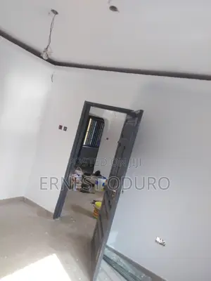Professional Painter