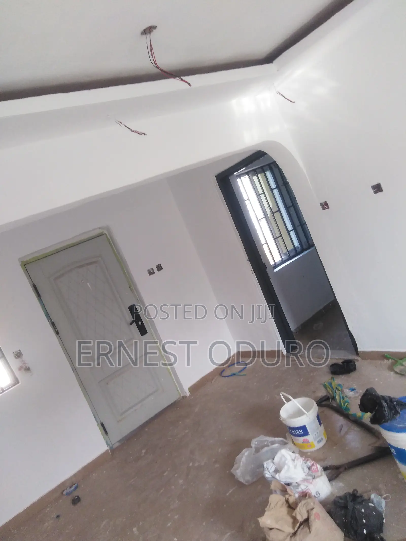 Professional Painter