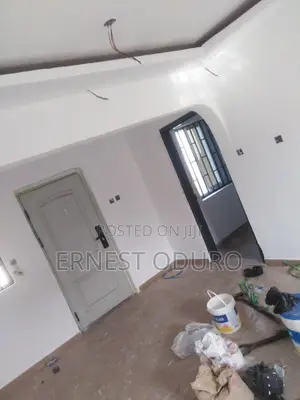 Professional Painter