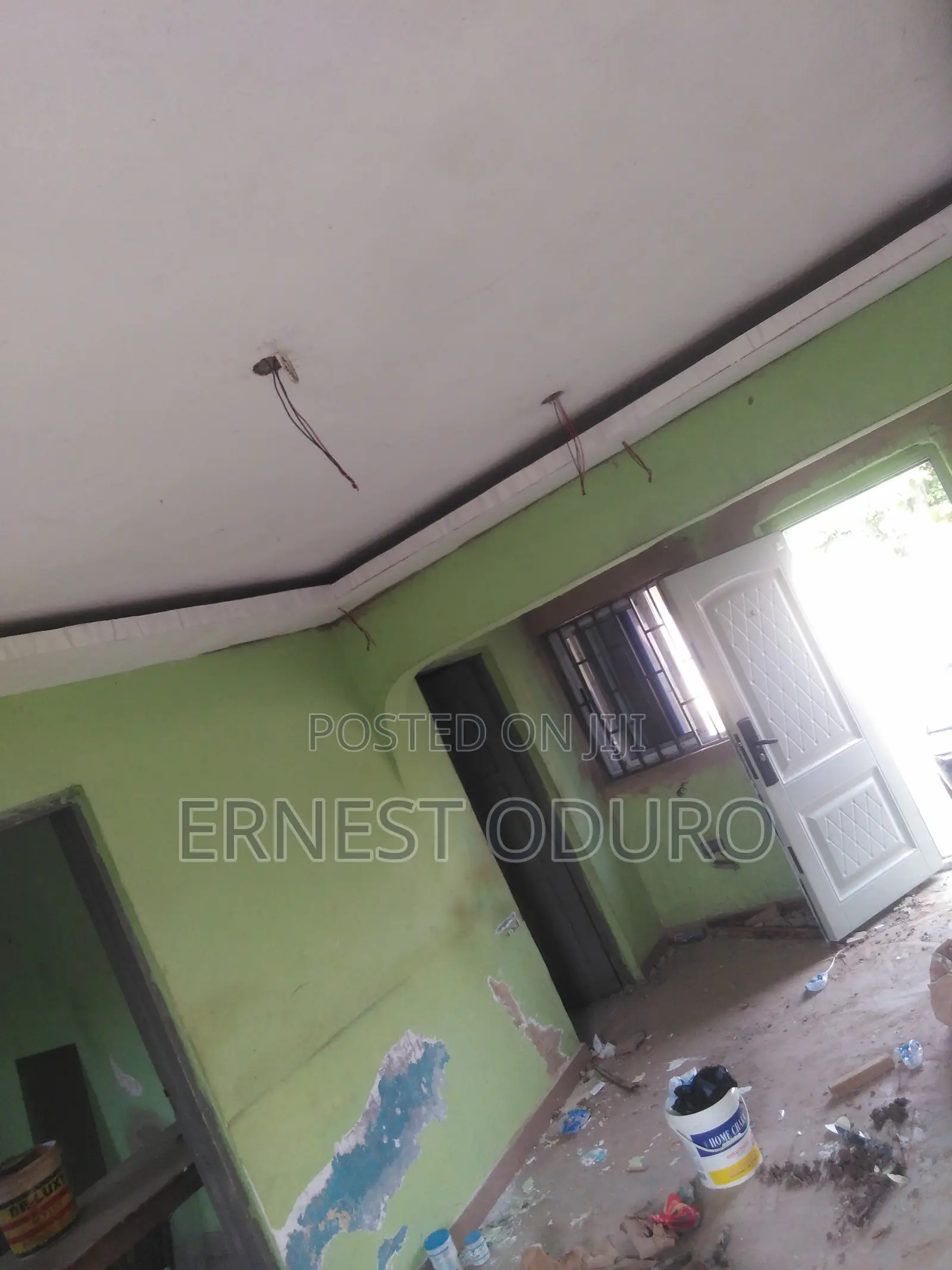 Professional Painter
