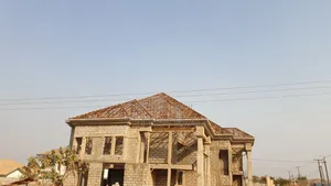 Professional Carpenter