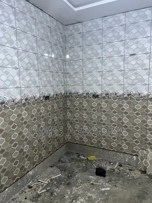Professional Tiling Master