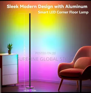 1 Smart Led Floor Lamp Multifunctional RGB Color Changing