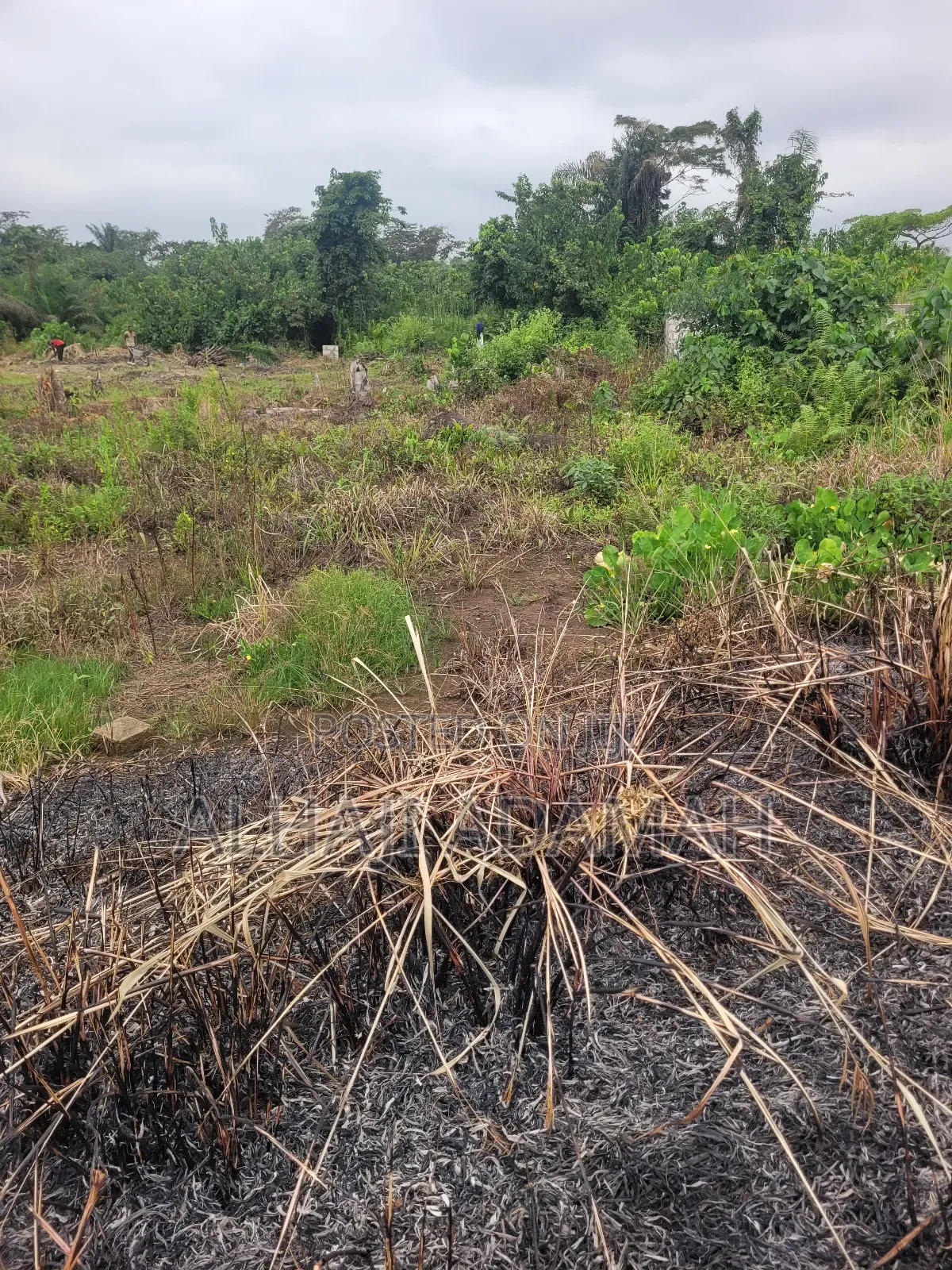 Two Plots of Land for Sale at Santa'si Ampetia