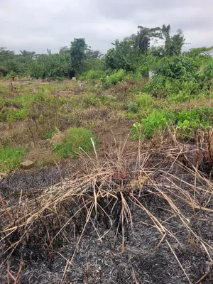 Two Plots of Land for Sale at Santa'si Ampetia