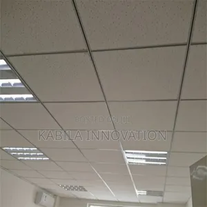 Suspended/Drop Ceiling Installation