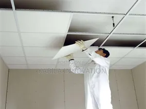 Suspended/Drop Ceiling Installation