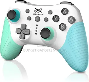 Nintendo Switch Pro Controller