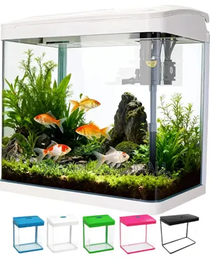 Aquarium Empty Tank With Inner Filter Light