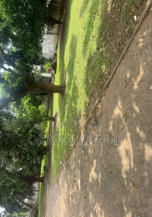 Titled 6 Plots of Land for Sale at Tesano