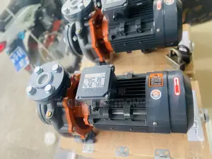 Build-for Lasting Leo 10hp Water Pump