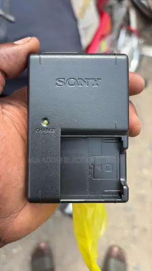 Sony Np Bg1 Charger