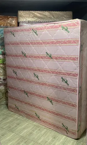 20 Inch (Queen) Mattress