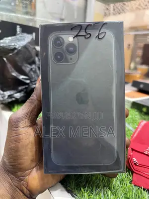 Apple iPhone 11 Pro 256 GB Gray