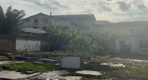 Titled 2 Plots Of Land For Sale At Osu