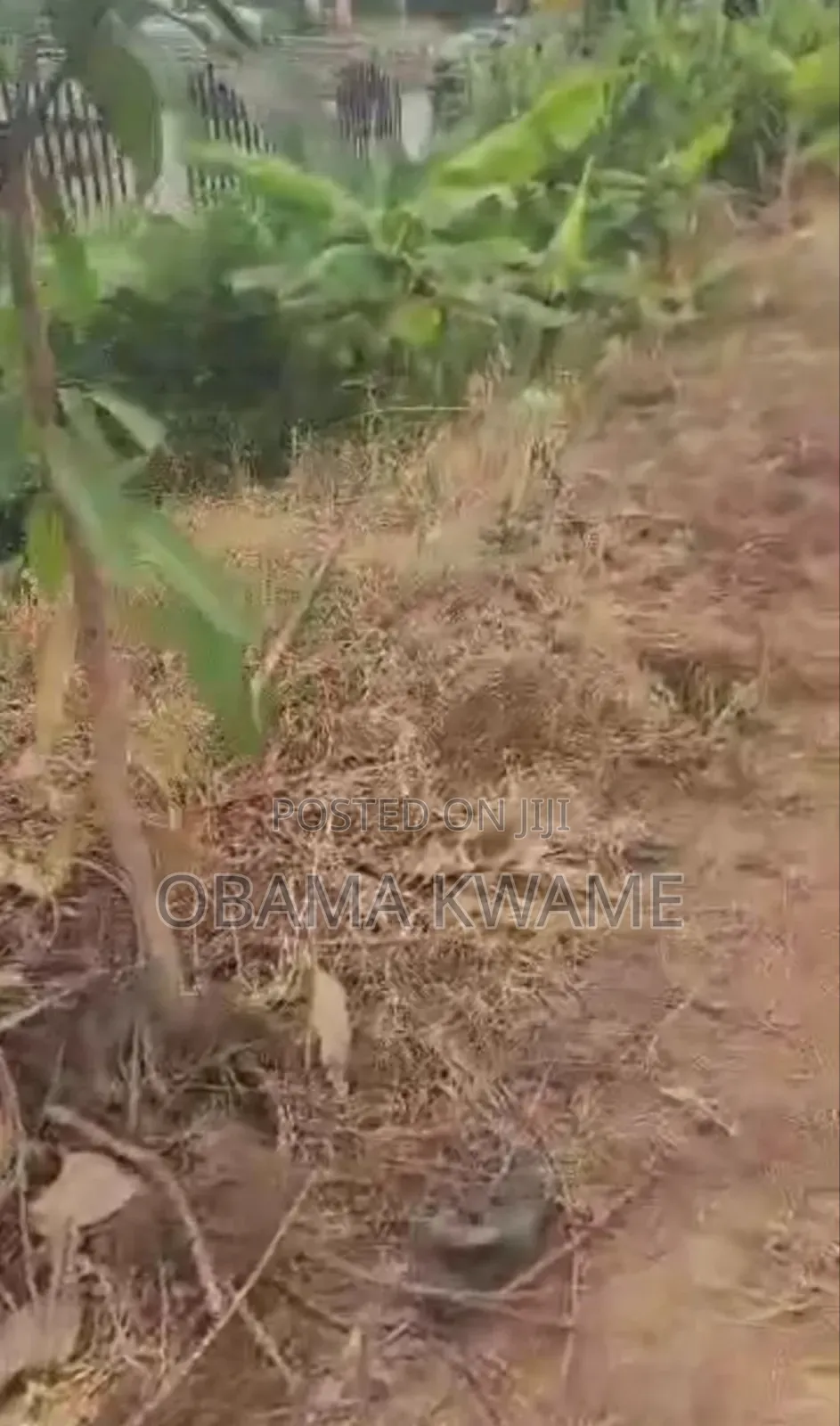 Roadside 0.40 Acre of Prime Land for Sale North Ridge Kanda Highway