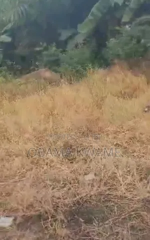 Roadside 0.40 Acre of Prime Land for Sale North Ridge Kanda Highway