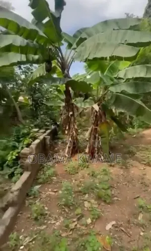 Roadside Land for Sale at Kwabenya on the Main Road to Pokuase