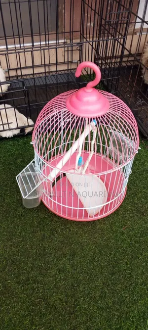 Small Metallic Bird Cage