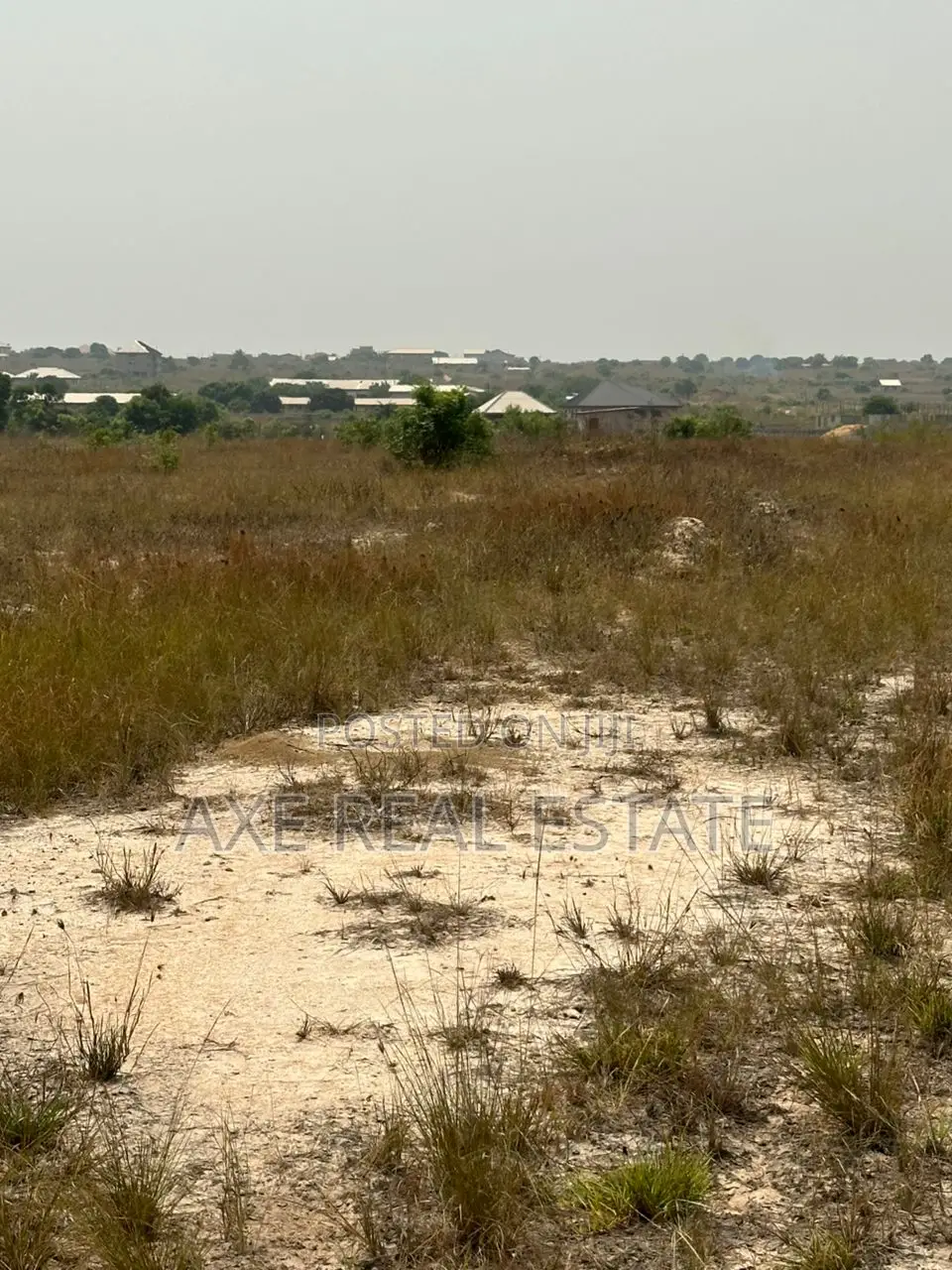 Prime Beachfront Land