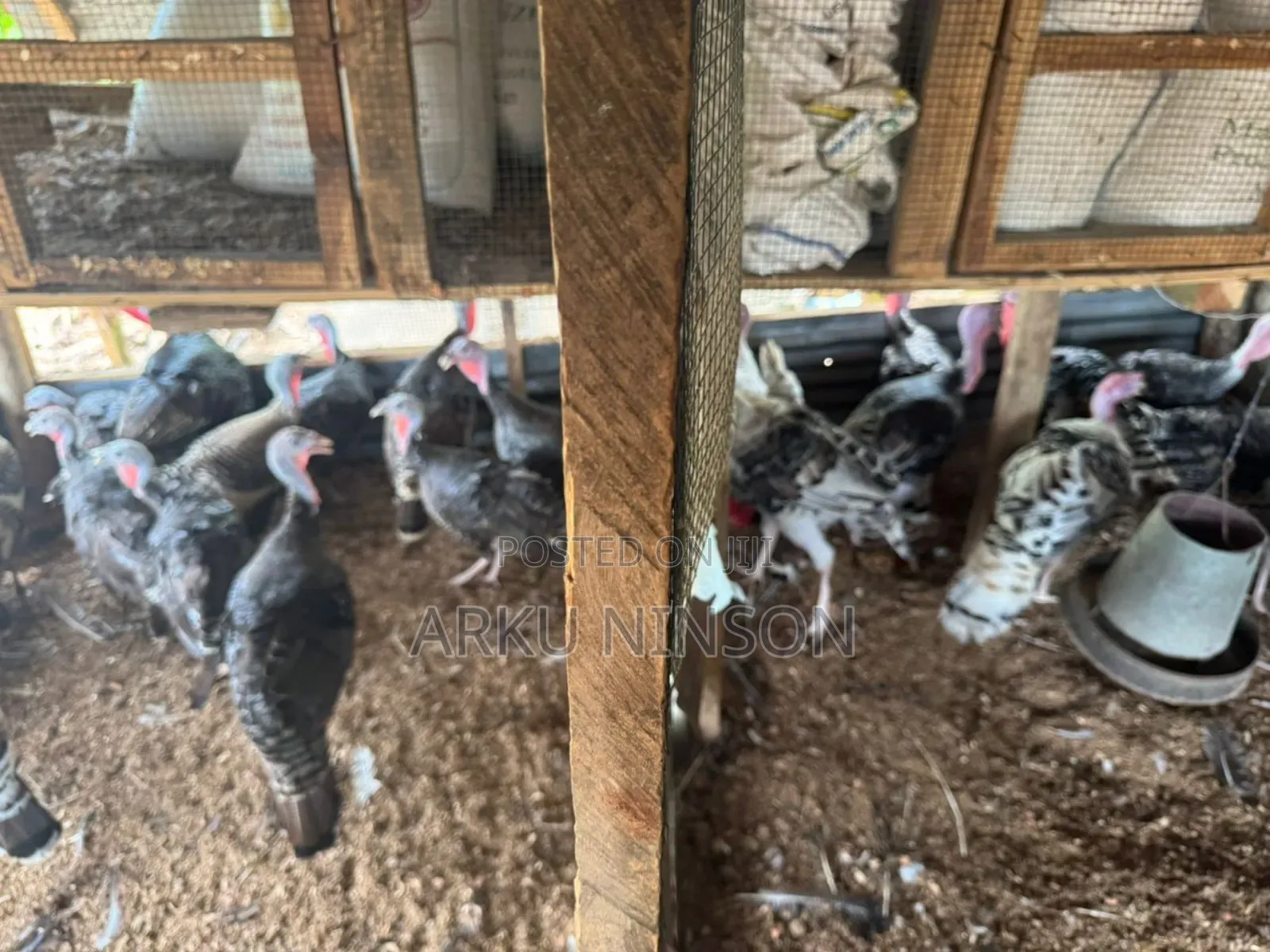 A.B.N Farm