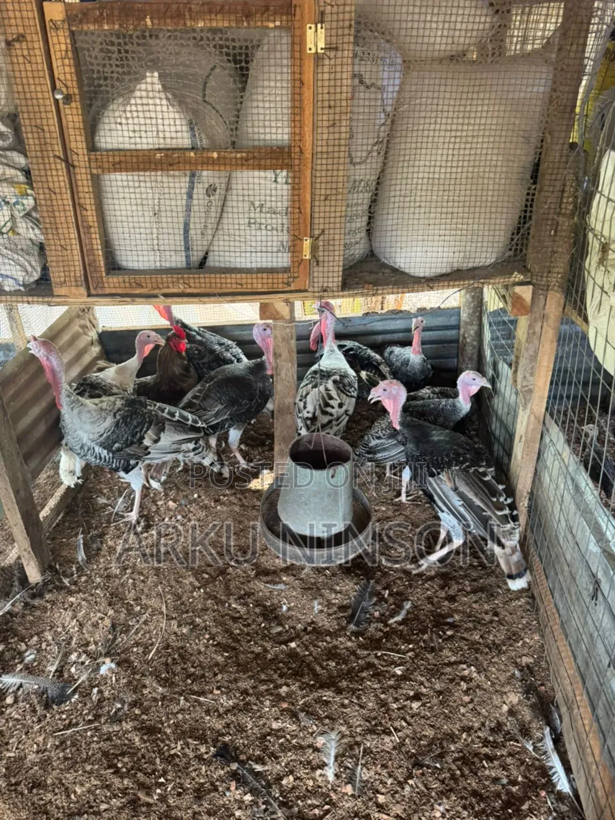 A.B.N Farm