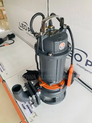 10m3/H Leo Sewage 1.5hp Pump