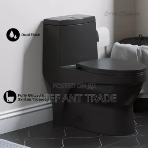 Pure Black Wc Toilet Seat Water Closet 250b