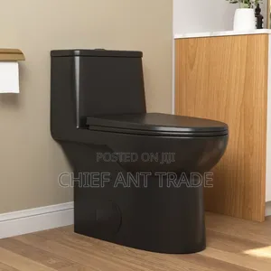 Pure Black Wc Toilet Seat Water Closet 250b