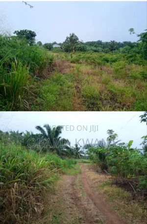 25 Acres of Farm Land for Sale at Gomoa Ayensuadze