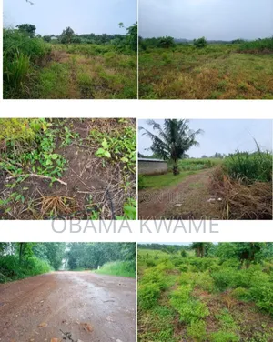 25 Acres of Farm Land for Sale at Gomoa Ayensuadze