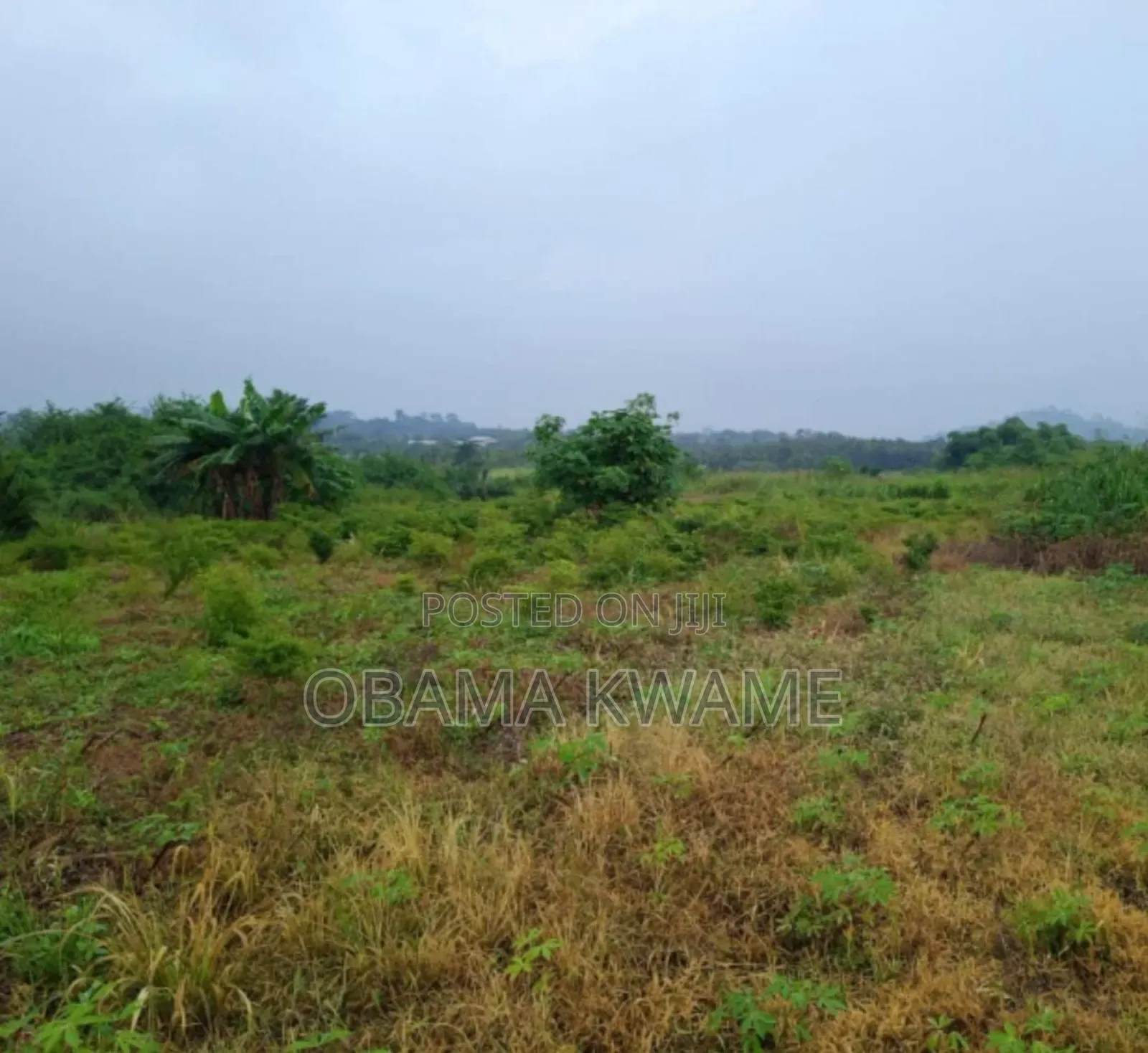 25 Acres of Farm Land for Sale at Gomoa Ayensuadze