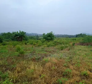 25 Acres of Farm Land for Sale at Gomoa Ayensuadze
