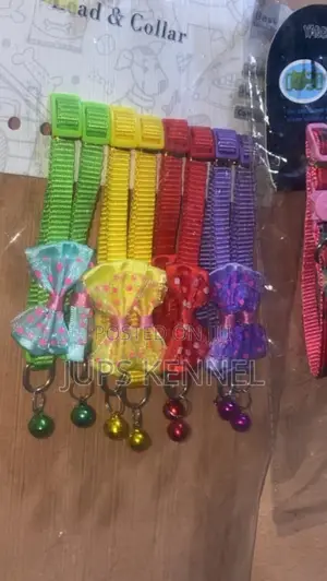 Dog (Puppy) Collar