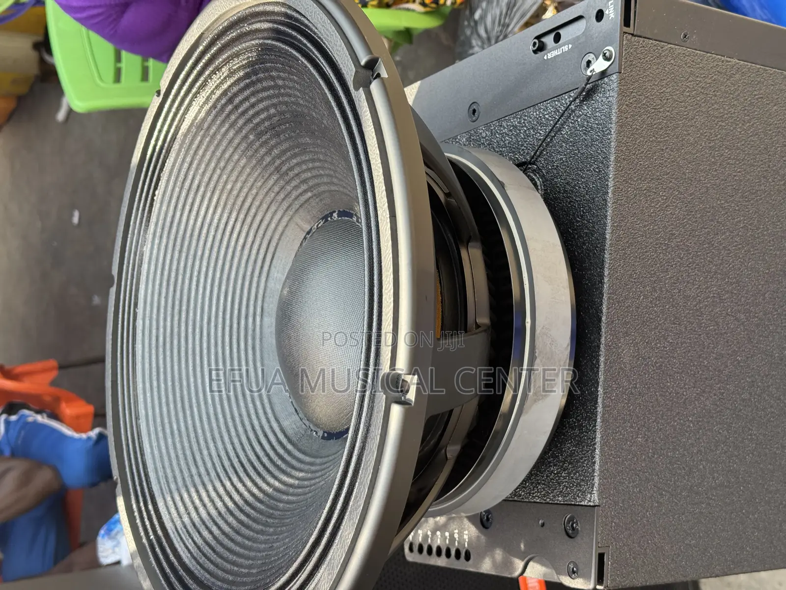 RCF 18inches Naked Speakers (Pair)