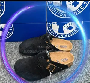 Birkenstock Shoe