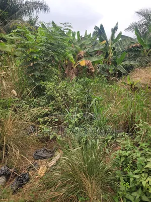 One Acres Land for Sale at Ahemakokoben Abuabuta