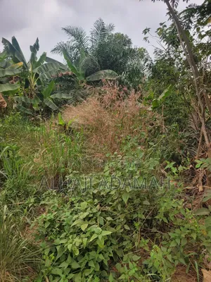 One Acres Land for Sale at Ahemakokoben Abuabuta