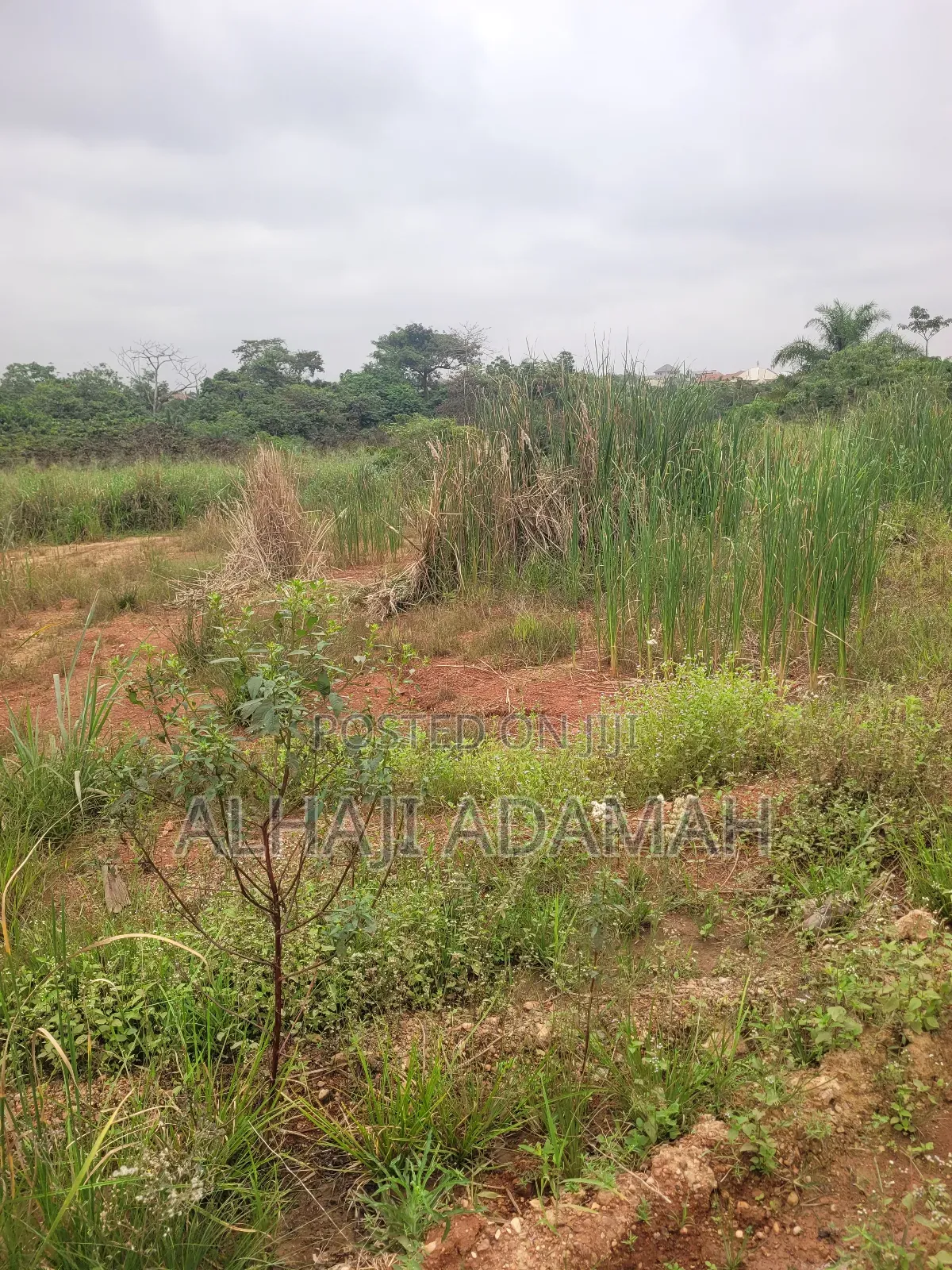 One Acres Land for Sale at Ahemakokoben Abuabuta