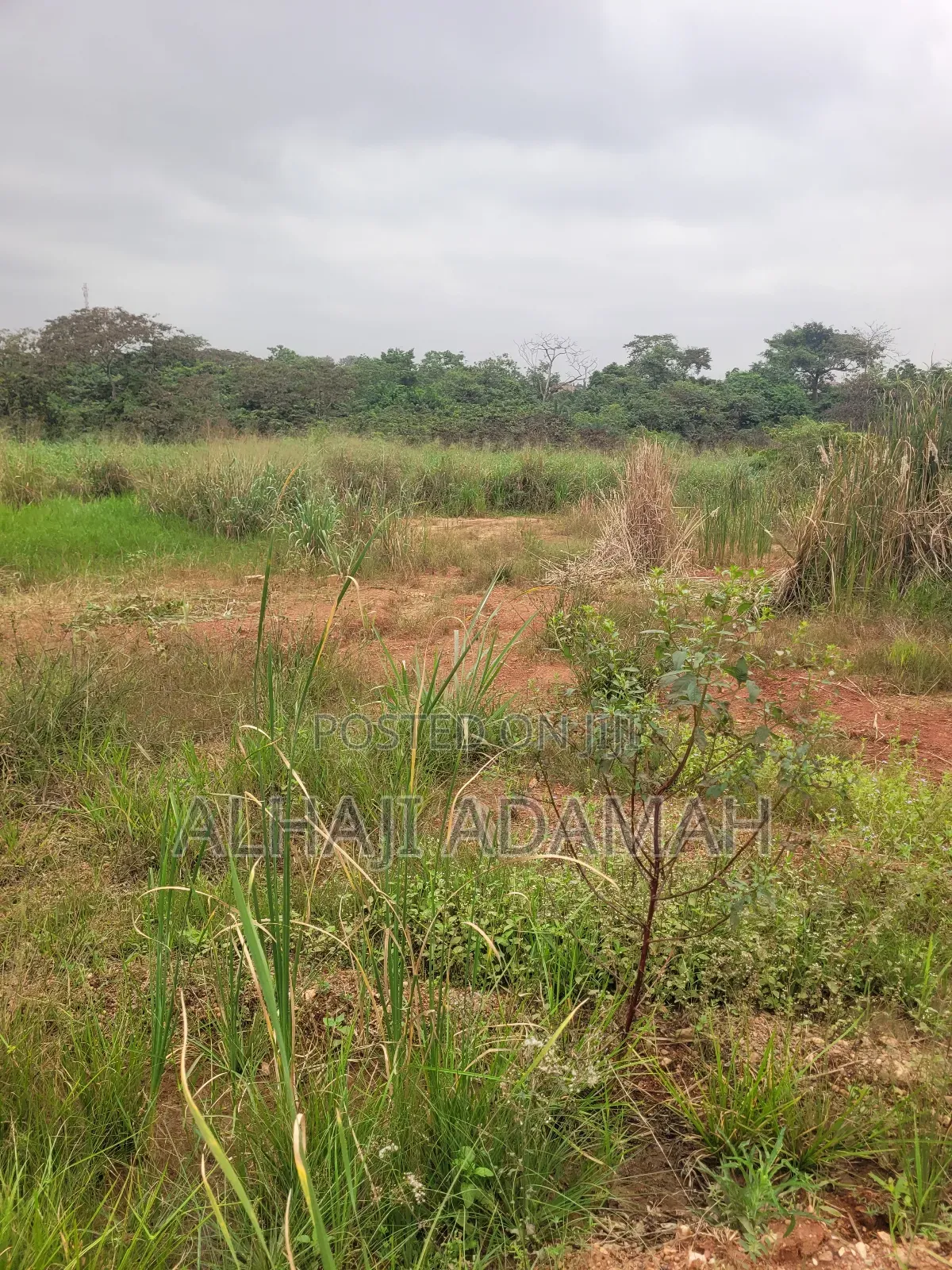 One Acres Land for Sale at Ahemakokoben Abuabuta