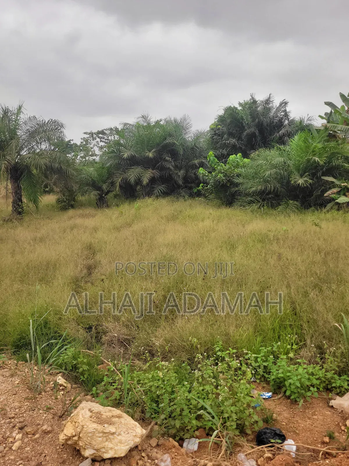One Acres Land for Sale at Ahemakokoben Abuabuta
