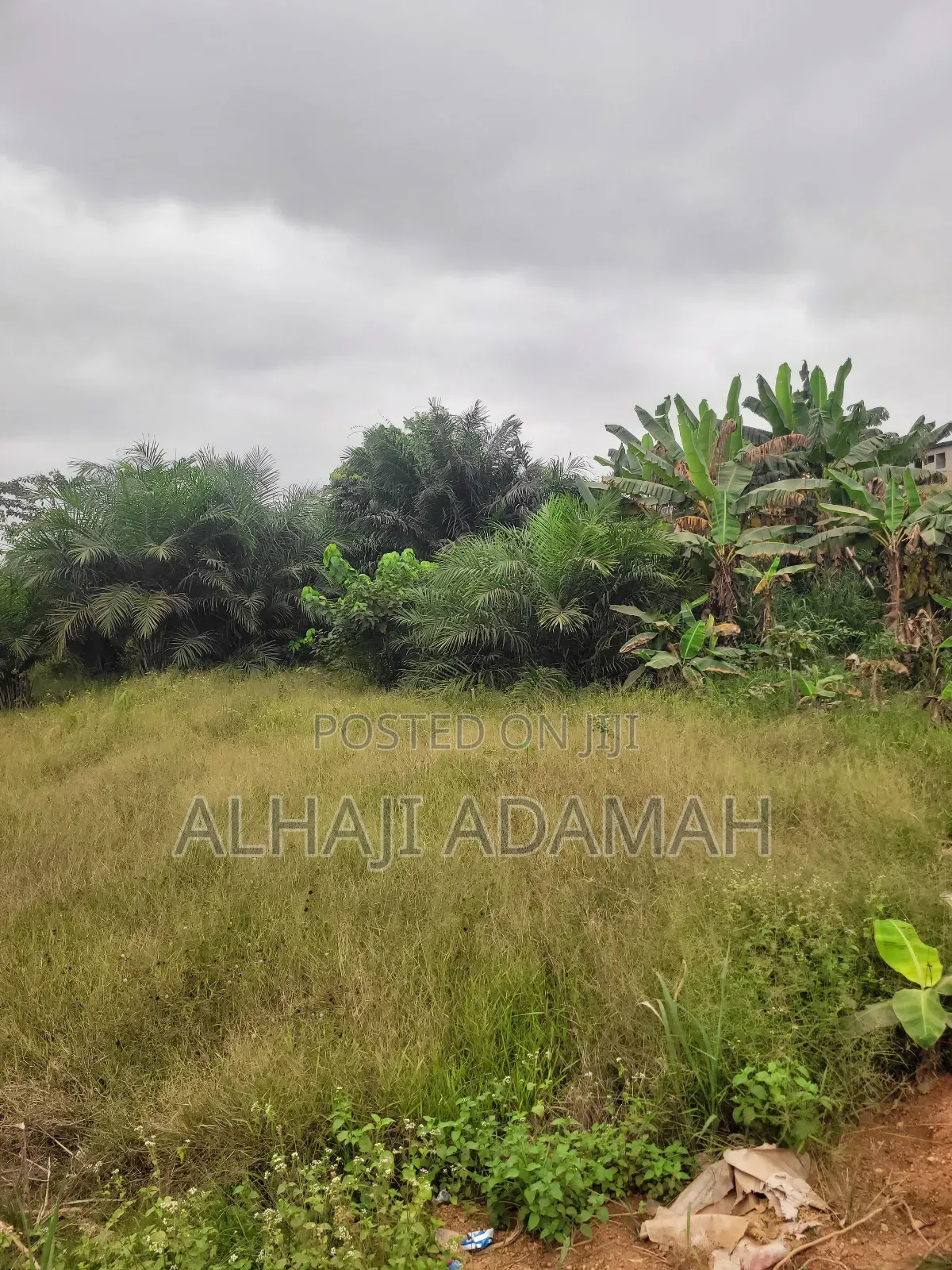 One Acres Land for Sale at Ahemakokoben Abuabuta