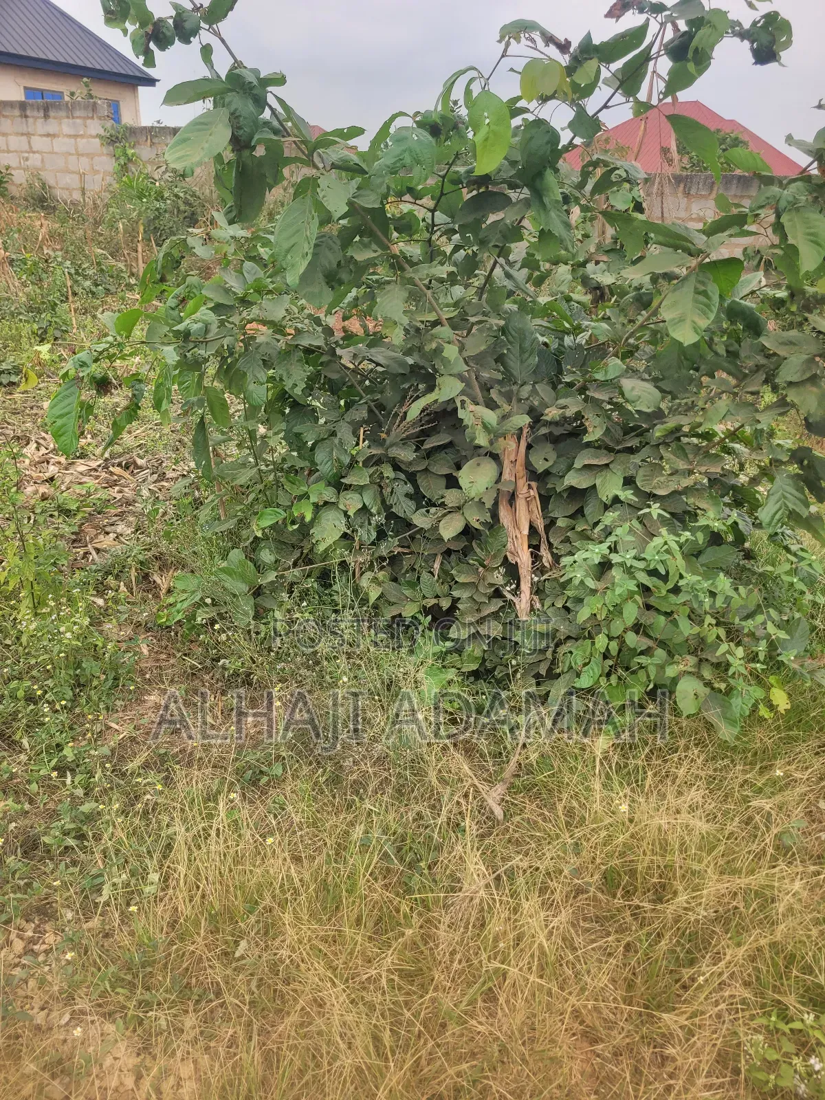 One Acres Land for Sale at Ahemakokoben Abuabuta