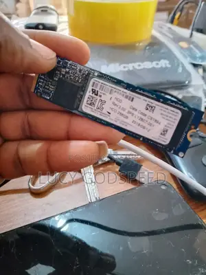 SSD M.2 256 Drive