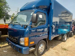 Hyundai Mighty Blue Wings Body