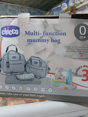 Chicco Multi-Function Bag