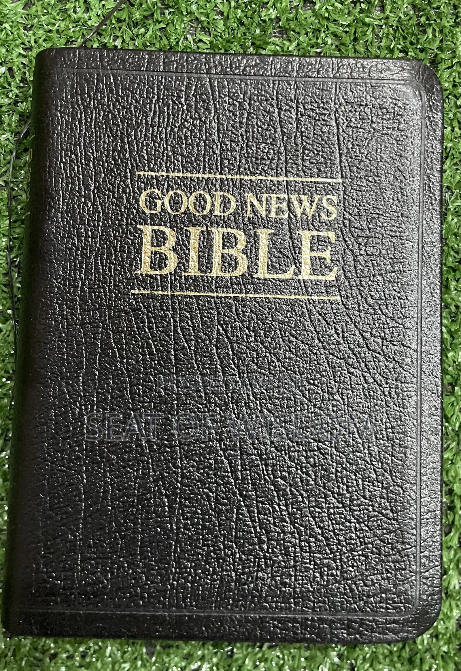 Good News Bible(Leather Back)