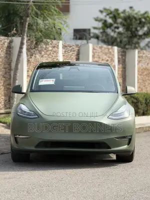 Tesla Model Y 75D kWh Long Range AWD 2022 Green