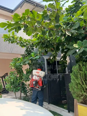 House Hold Fumigation
