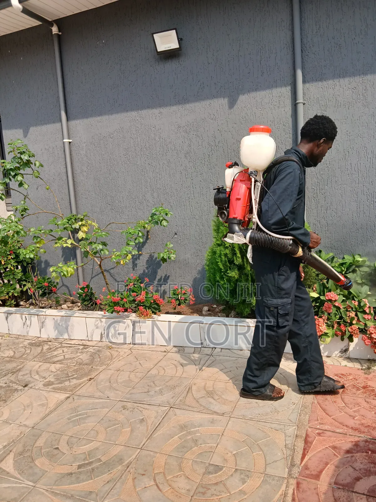Regular Fumigation